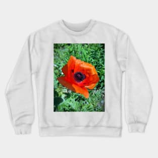 Big poppy flower Crewneck Sweatshirt